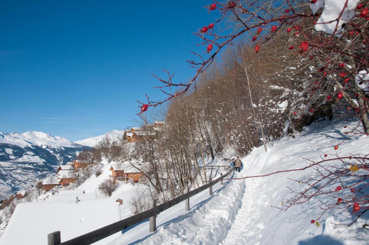 Greppons Cosy & Mountain Apartments By Alpvision Residences Veysonnaz Dış mekan fotoğraf