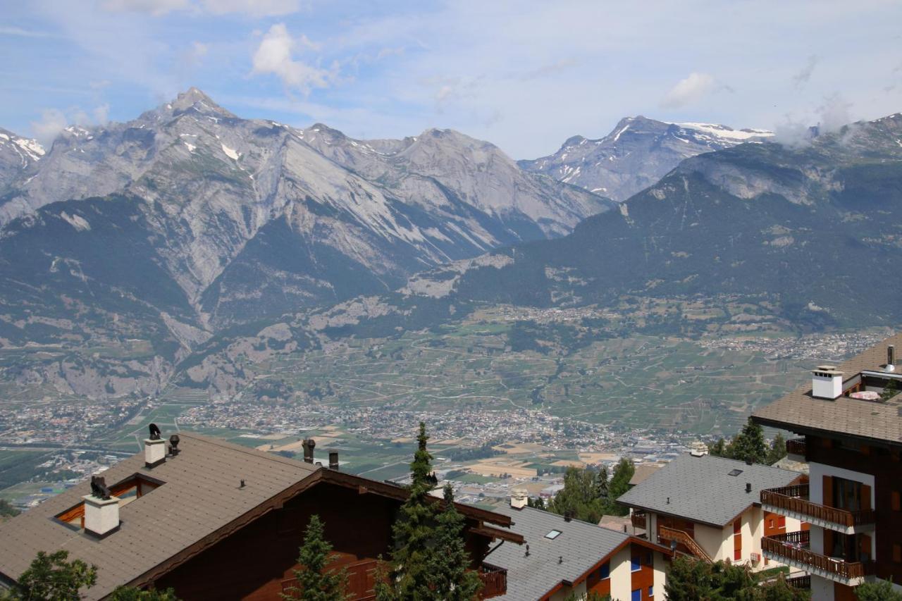 Greppons Cosy & Mountain Apartments By Alpvision Residences Veysonnaz Dış mekan fotoğraf