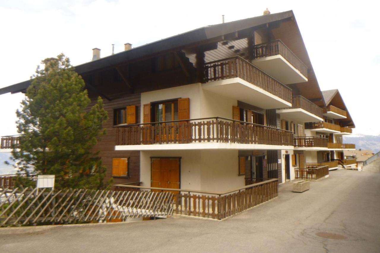 Greppons Cosy & Mountain Apartments By Alpvision Residences Veysonnaz Dış mekan fotoğraf