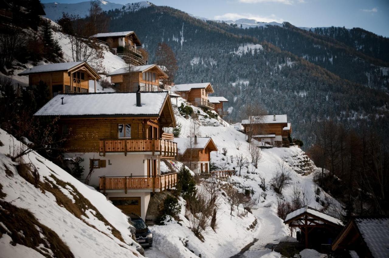 Greppons Cosy & Mountain Apartments By Alpvision Residences Veysonnaz Dış mekan fotoğraf
