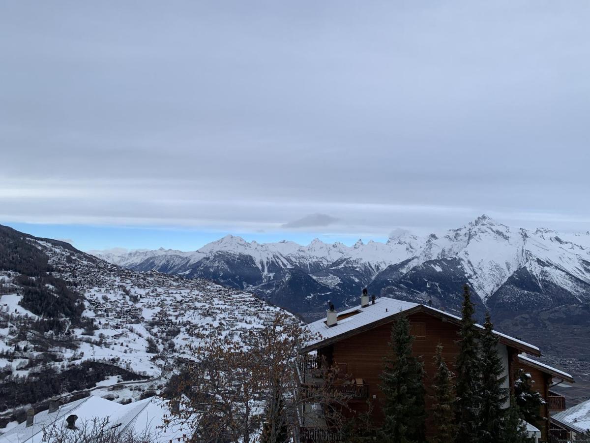 Greppons Cosy & Mountain Apartments By Alpvision Residences Veysonnaz Dış mekan fotoğraf